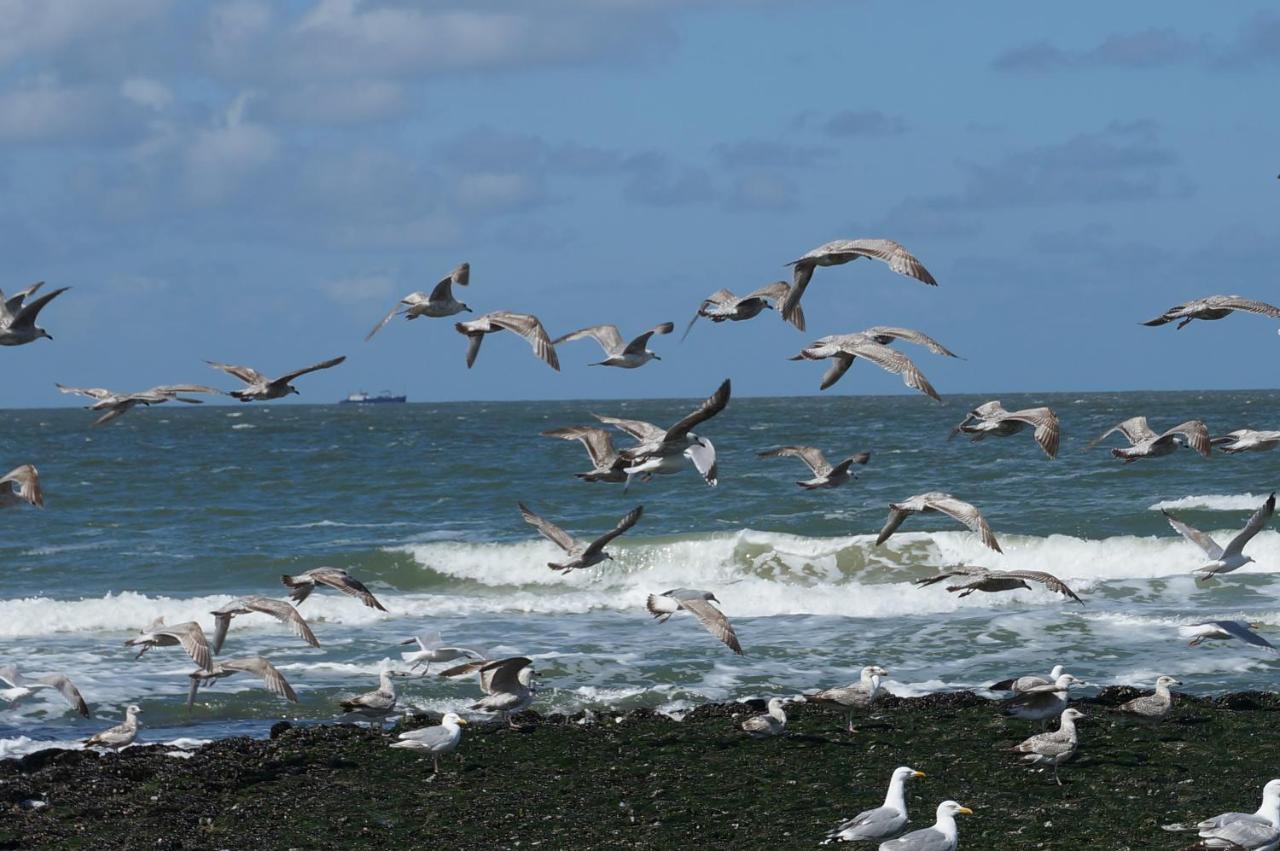 Aan Zee